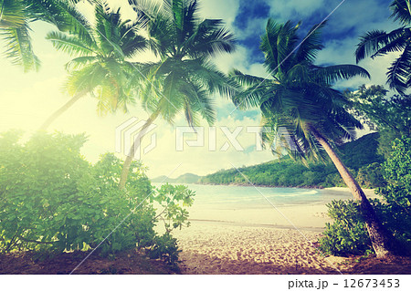 sunset on the beach Takamaka, Mahe island, Seychelles sunset on the beach Takamaka, Mahe island, Seychelles 12673453