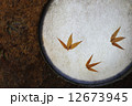 月明かり 12673945
