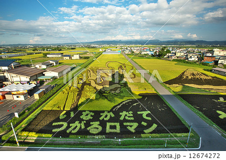 青森　田舎館村　田んぼアート 12674272
