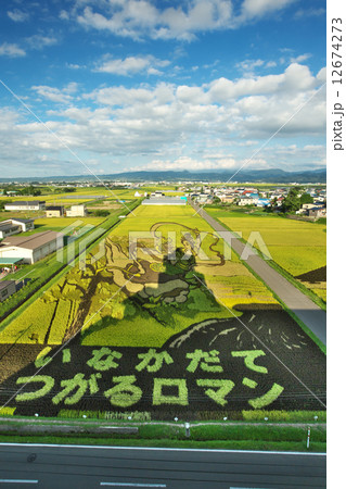 青森 田舎館村 田んぼアート 青森 田舎館村 田んぼアート 12674273