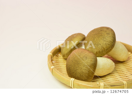 ホンシメジ 12674705