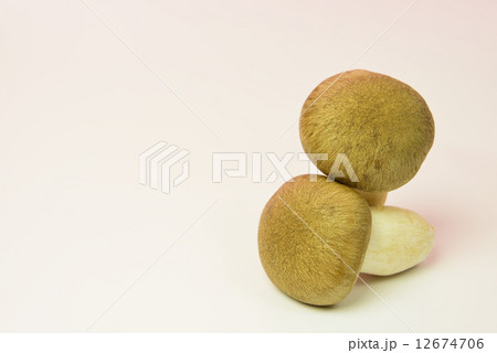 ホンシメジ 12674706