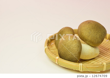 ホンシメジ 12674709