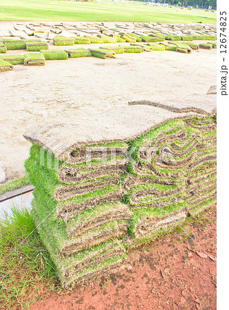 Folded of green grass sheets as layers. 12674825