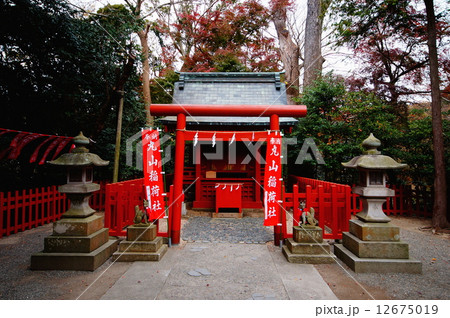 鎌倉 鶴岡八幡宮 / 摂末社 ・ 丸山稲荷社 御社殿 ( 神奈川県 鎌倉市 雪ノ下 ) 鎌倉 鶴岡八幡宮 / 摂末社 ・ 丸山稲荷社 御社殿 ( 神奈川県 鎌倉市 雪ノ下 ) 12675019