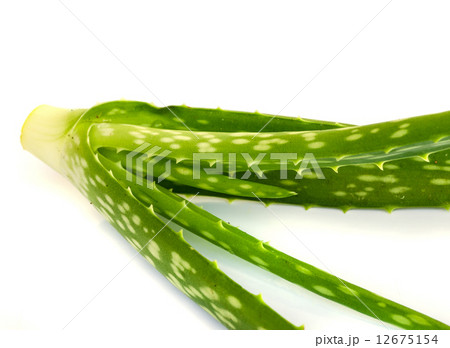 aloe vera leaf . aloe vera leaf . 12675154