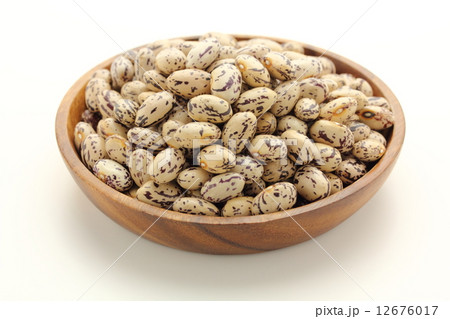 うずら豆 12676017