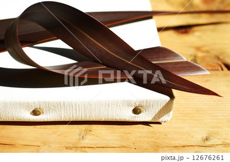 ニューサイランとキャンバス 12676261