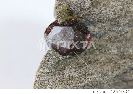 ガーネット ガーネット 12676334