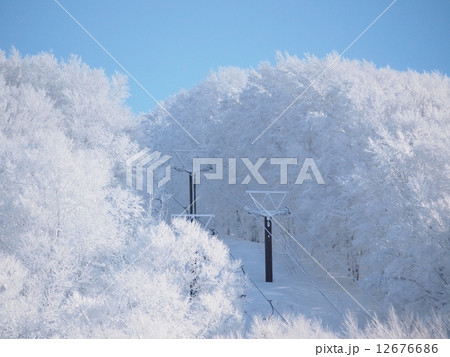 八甲田山02 12676686