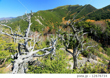 大日岩から見る紅葉の金峰山 大日岩から見る紅葉の金峰山 12676734