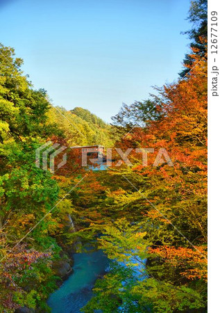 半出来吾妻温泉 12677109