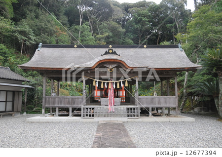 【土佐の宮島】国指定重要文化財・鳴無神社拝殿　高知県須崎市 12677394