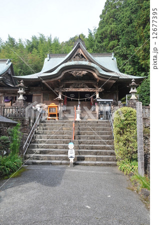 【四国八十八ヶ所】第三十五番　秋晴れの清瀧寺本堂　高知県土佐市 12677395