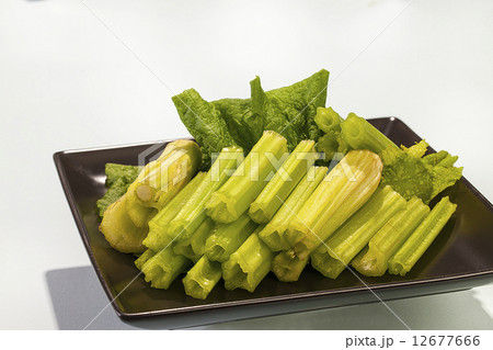 春ごんぼう・旬野菜 春ごんぼう・旬野菜 12677666