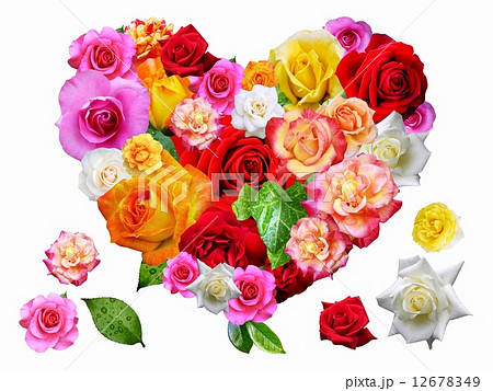 薔薇のハート 12678349