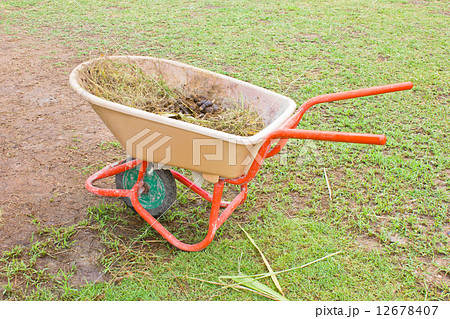 Horse manure in trolley. 12678407