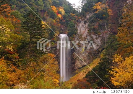 平湯大滝　紅葉 12678430