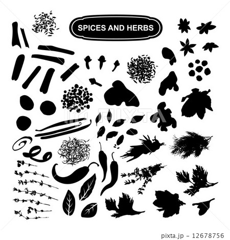 Spices 12678756