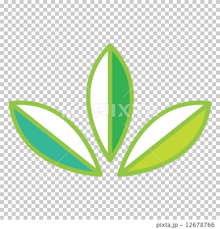 三つ葉 三つ葉 12678766