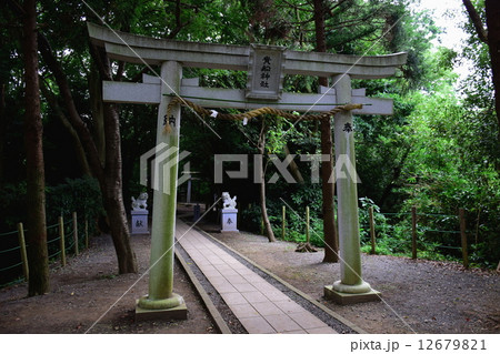 柿田川 貴船神社　鳥居 ・ 狛犬　柿田川公園　（ 静岡県 駿東郡 清水町 ） 12679821