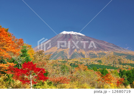 富士山と紅葉 富士山と紅葉 12680719