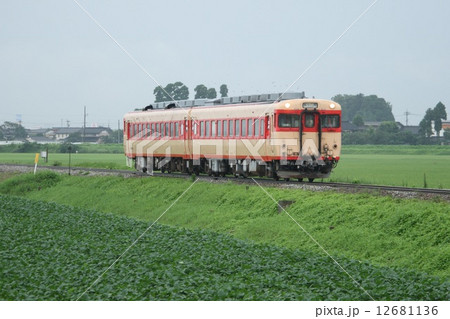 高山本線キハ58（富山⇔猪谷） 12681136