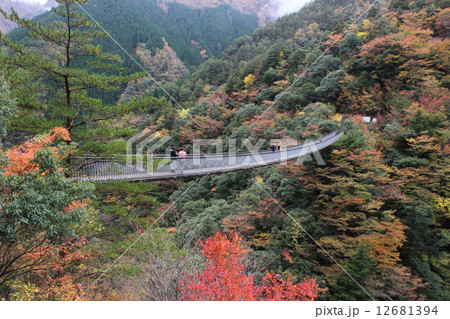 梅の木轟吊り橋 12681394