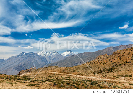 Himalayan landscape 12681751