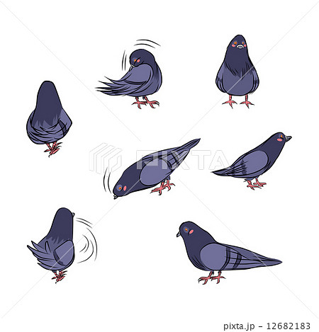 Cartoon Pigeon Actions Cartoon Pigeon Actions 12682183