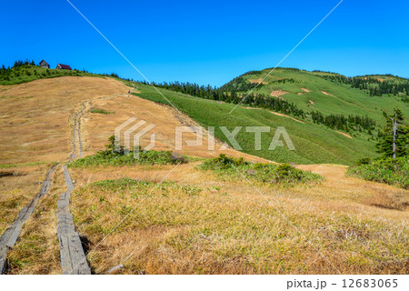 会津駒ヶ岳への登山道 12683065