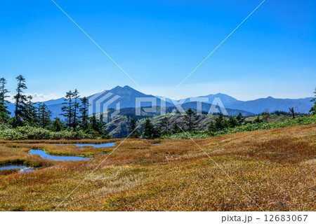 地塘と燧ケ岳 12683067