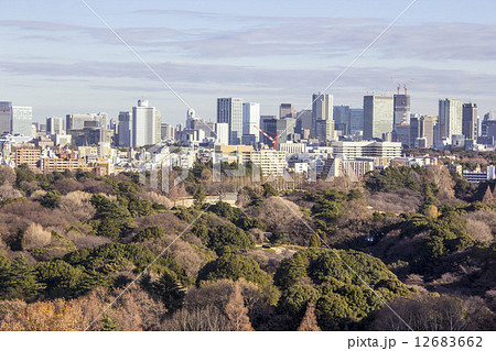 東京眺望 冬 新宿より赤坂方面 東京眺望 冬 新宿より赤坂方面 12683662