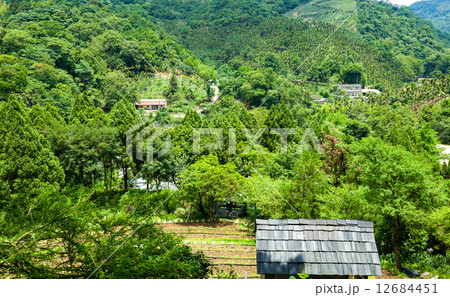 House on moutain 12684451
