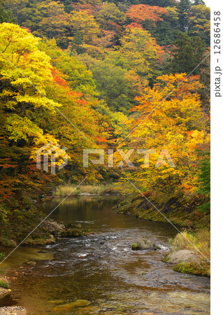 青森　むつ市　薬研渓流 12686458