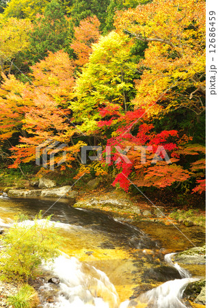 青森　むつ市　薬研渓流 12686459