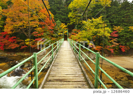 青森　むつ市　薬研渓流 12686460