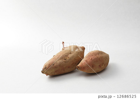 安納芋（サツマイモ） 12686525