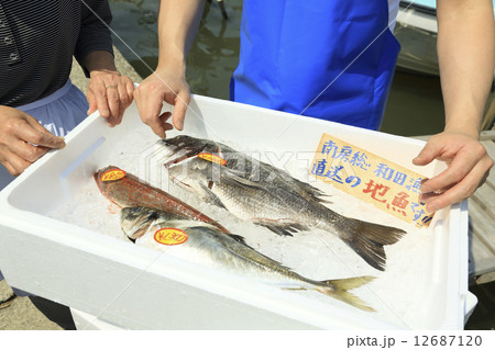 屋外で売られる鮮魚と鮮魚店店員 12687120