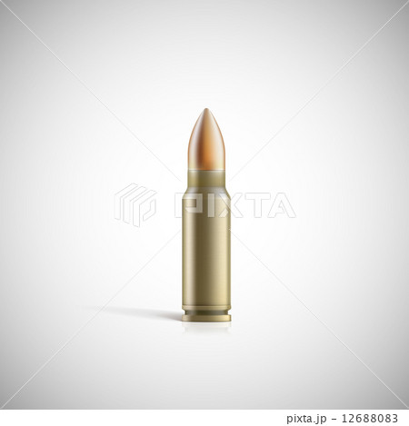 Rifle bullet isolated on white photo-realistic vector illustration Rifle bullet isolated on white photo-realistic vector illustration 12688083