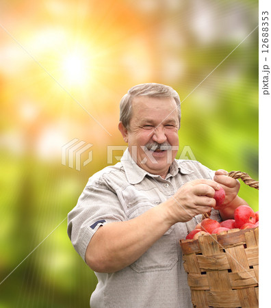 Harvesting an apples Harvesting an apples 12688353
