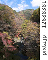 旧紅葉橋 12688381