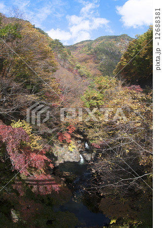 旧紅葉橋 12688381