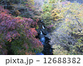 旧紅葉橋 12688382