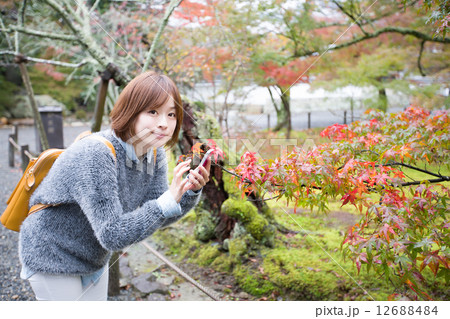 京都観光で紅葉を撮る若い女性 12688484