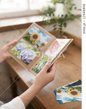 写真整理 12688806