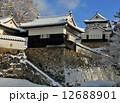 雪の備中松山城天守閣 12688901