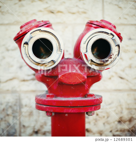 Red old fire hydrant on a street 12689301