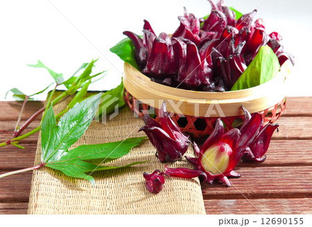 Fresh roselle in the basket Fresh roselle in the basket 12690155