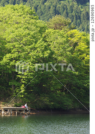 新緑の釣り風景 12690965